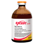 Excede Swine Cerdos
