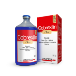 Cobrexilin Plus