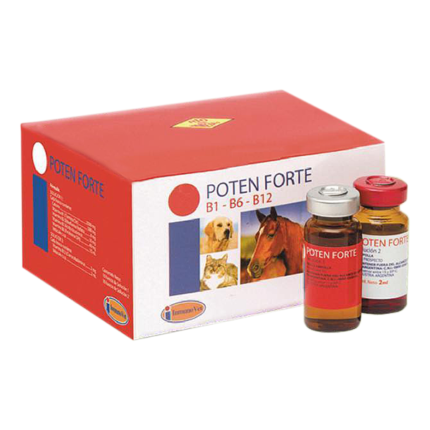 Poten Forte B1-B6-B12