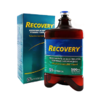 Recovery