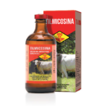 Tilmicocina