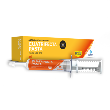 Cuatrifecta pasta