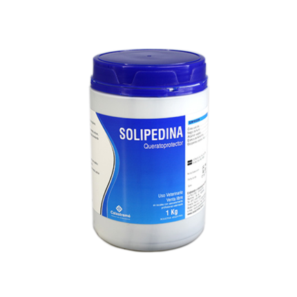 Solipedina