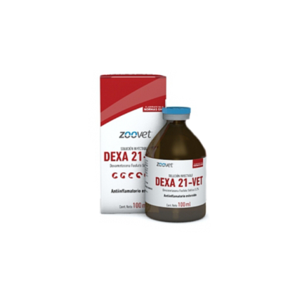 DEXA 21