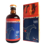 Ranitidina 33