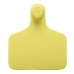 Caravana Grande S/N Amarilla