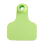 Caravana Chica S/N Verde claro