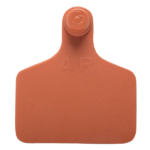 Caravana Grande S/N Naranja