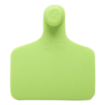 Caravana Grande S/N Verde Claro