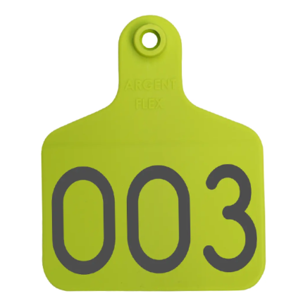 Caravana Extra Maxi C/N Verde claro