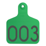 Caravana Extra Maxi C/N Verde oscuro