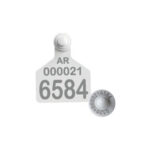 CARAVANA BINOMIO HDX/F9Z OFICIAL